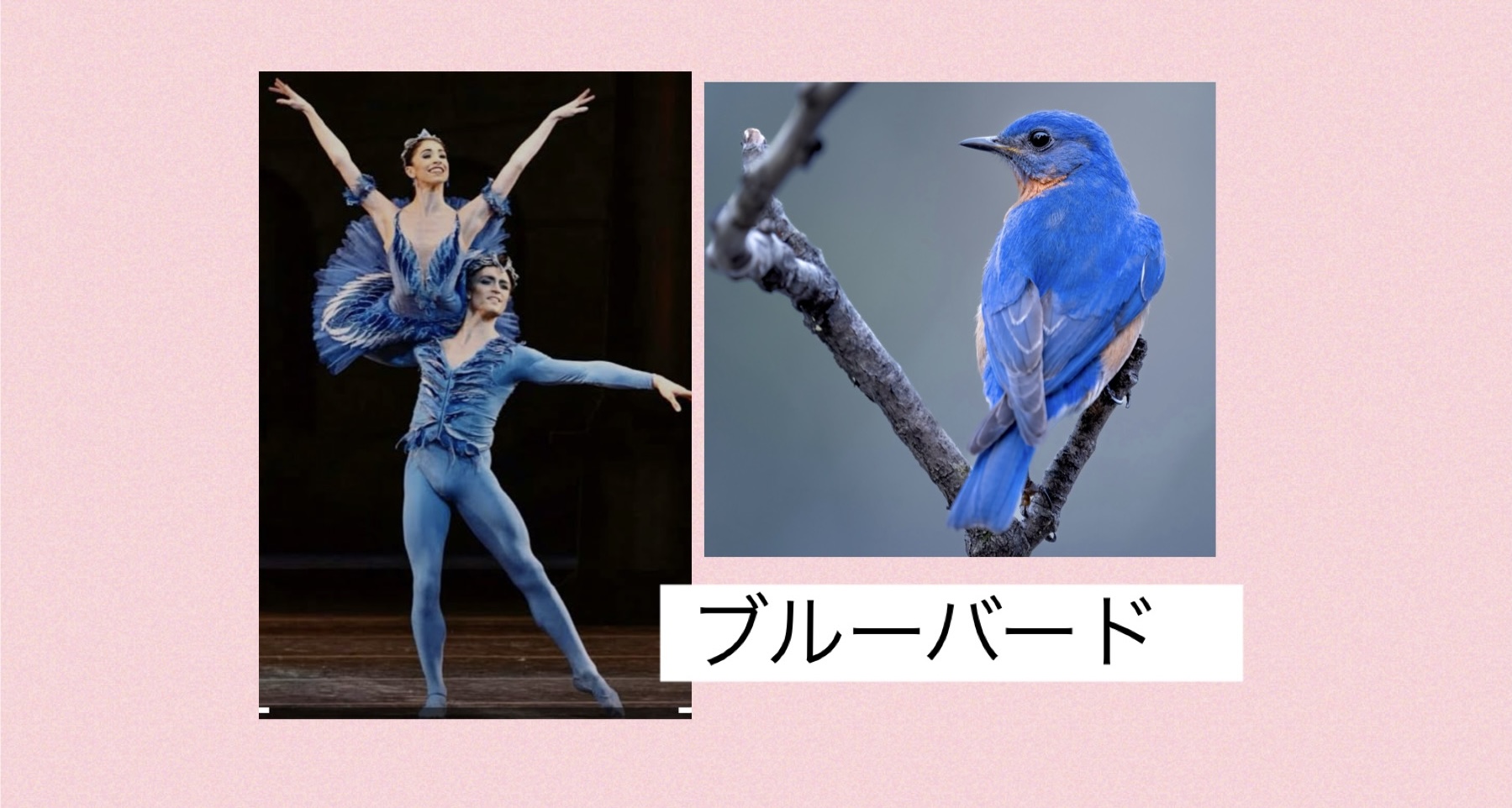 ブルーバード -